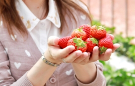 사진: 양손 가득한 딸기에 기분도 UP!