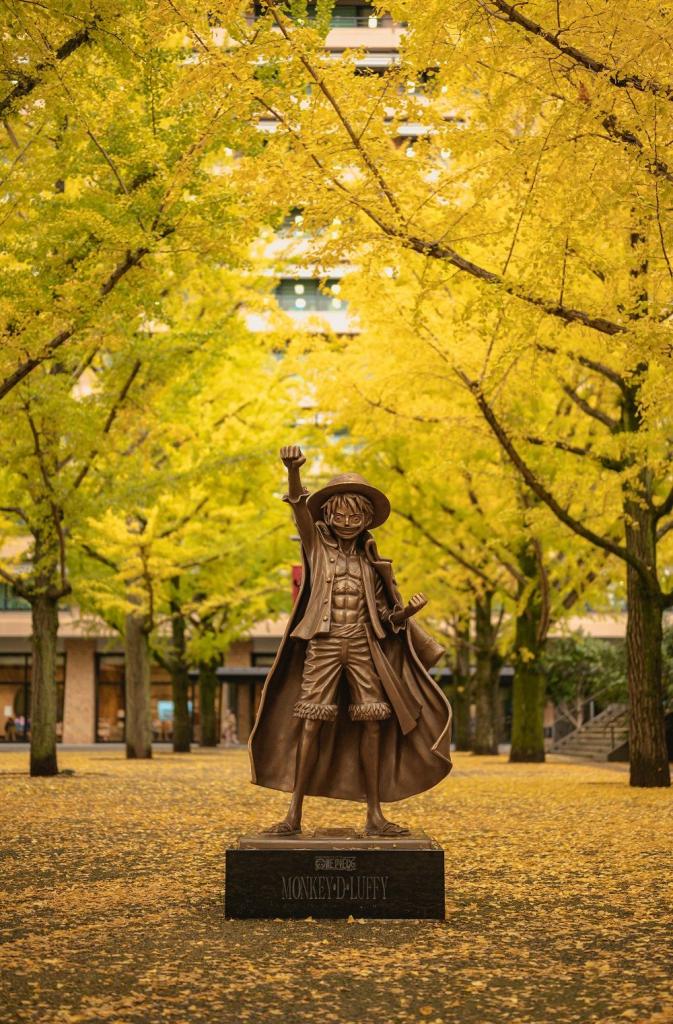 Luffy under the fall ginkgo leaves