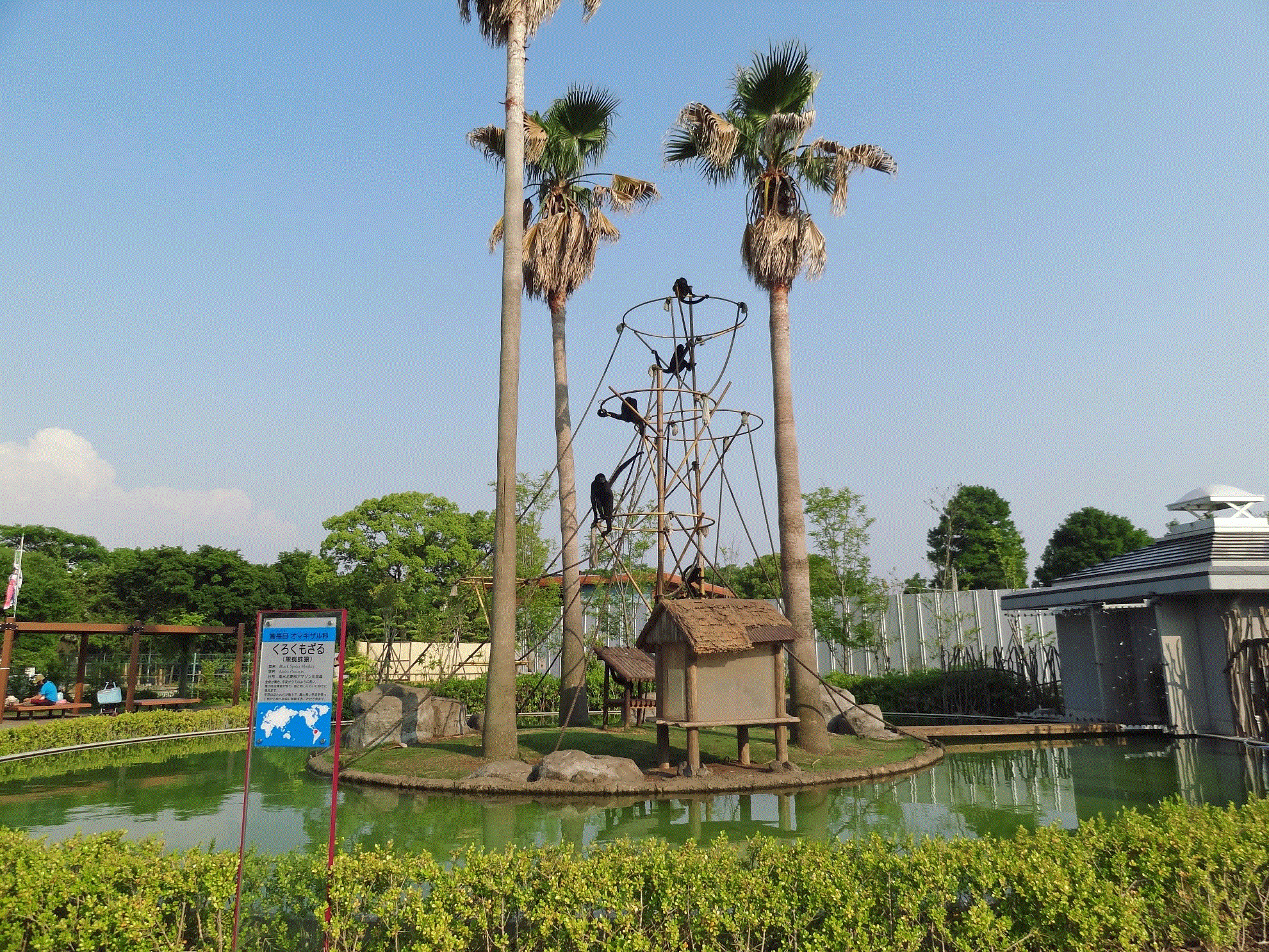 สวนสัตว์และสวนพฤกษศาสตร์เมืองคุมาโมโตะ