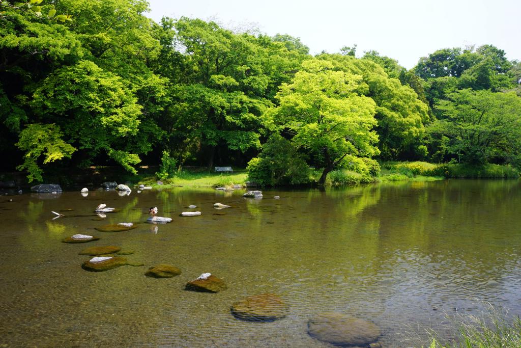 八景水谷公園 [撮影時期：5月13時頃]