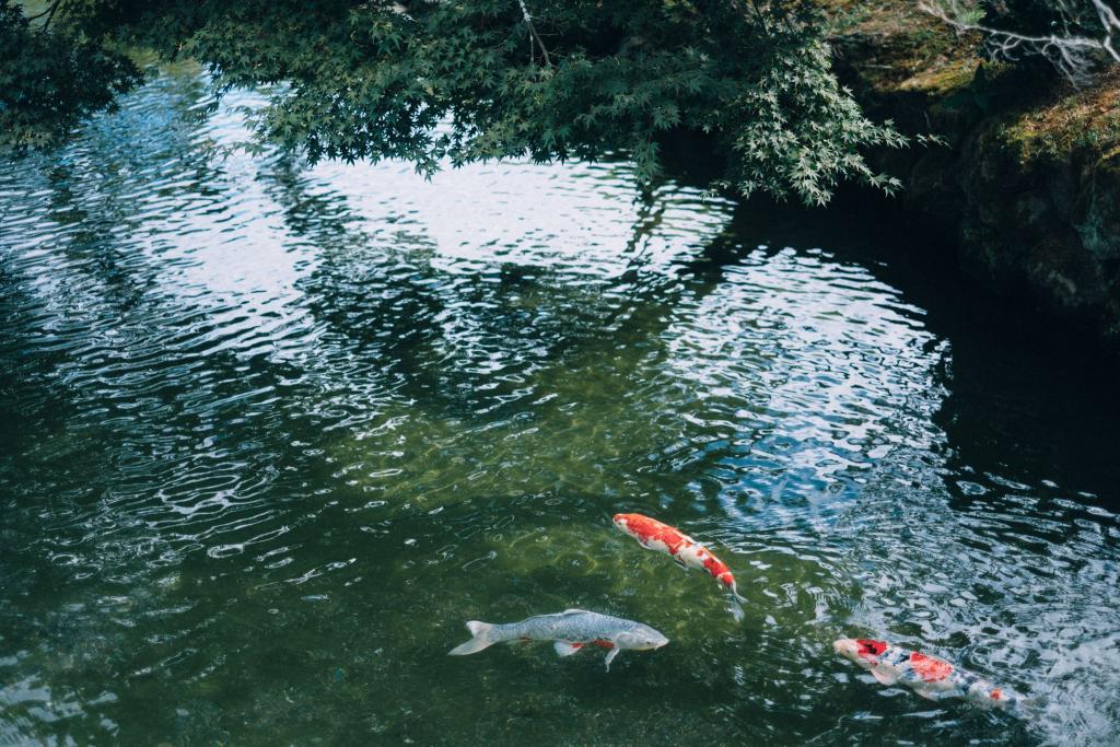 水前寺成趣園
