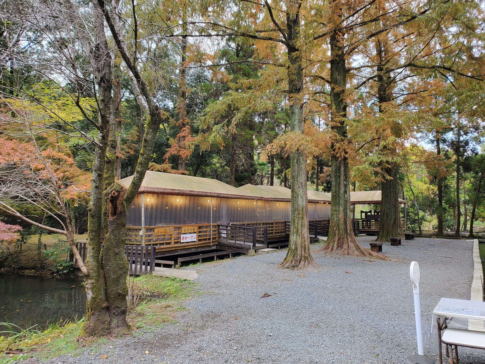 炭焼きガーデン