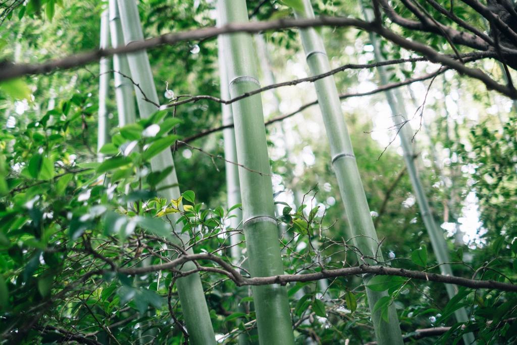 健軍神社