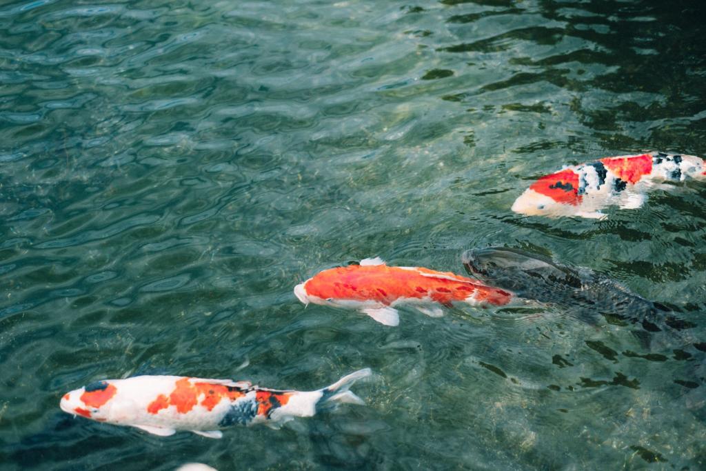 水前寺成趣園