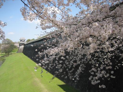 熊本城