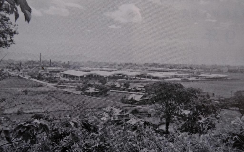 魚市場での初競りの様子（写真左）と、熊本大同青果の社屋が完成した市場一帯（写真提供：熊本地方卸売市場『50周年記念誌』より