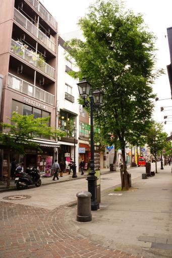 並木坂 [撮影時期：5月14時頃]