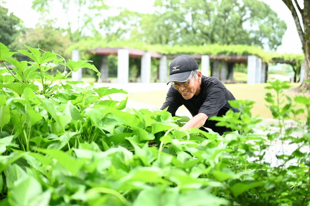 「野菜花だん」の手入れをする野菜のプロ・岩川先生