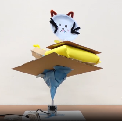 【無料】CAMPクリケットワークショップ＠熊本