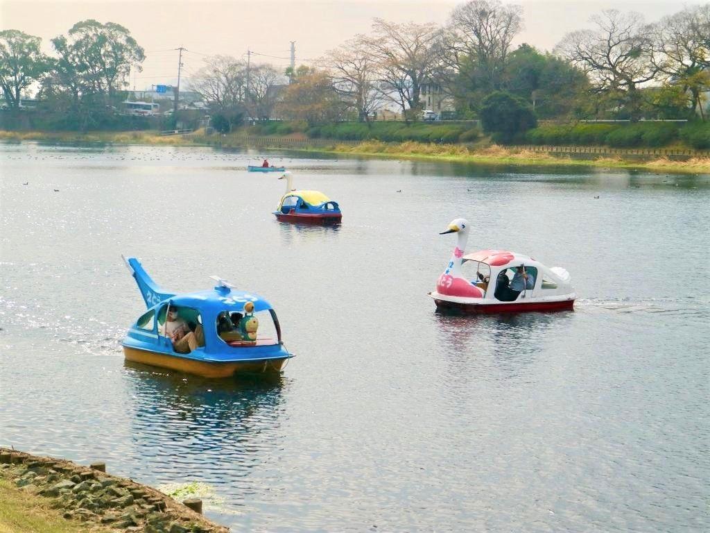 江津湖の楽しみ方 子どもと一緒にボートに乗って 心と体をリフレッシュ 熊本市観光ガイド