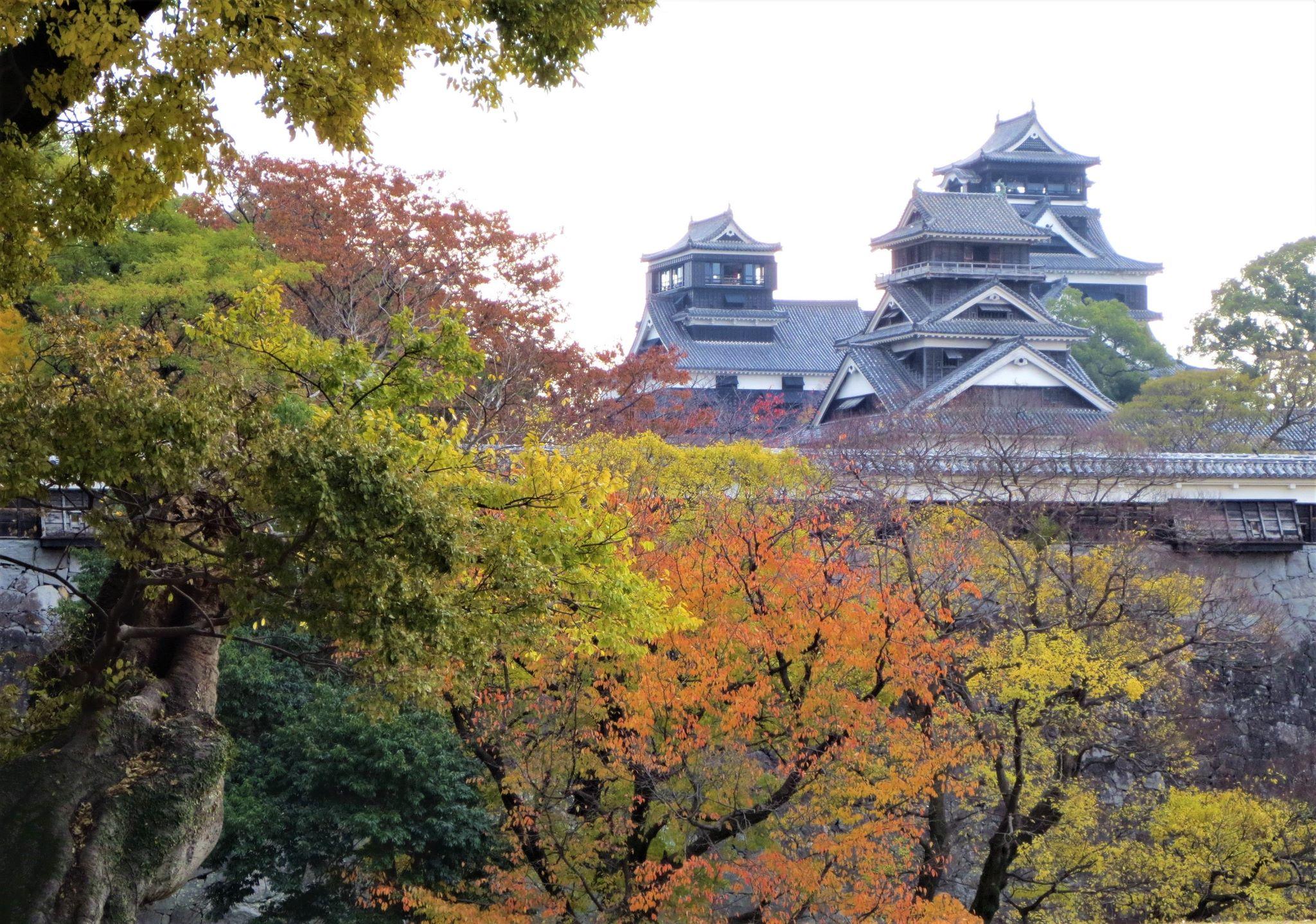 天守閣(紅葉)