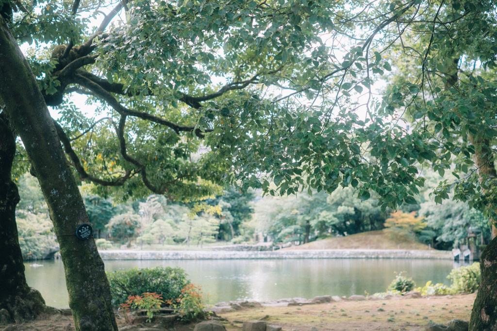 水前寺成趣園