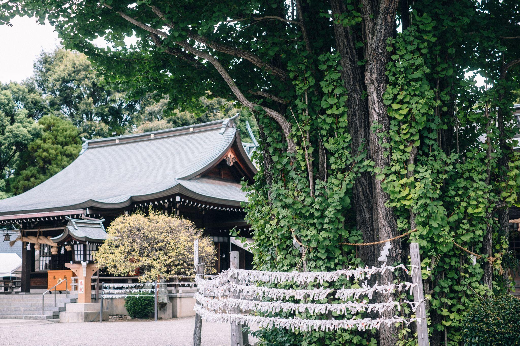 健軍神社