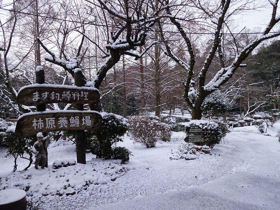 春は桜、夏は緑、秋は紅葉…と四季折々の景色が楽しめるそうです　※提供写真