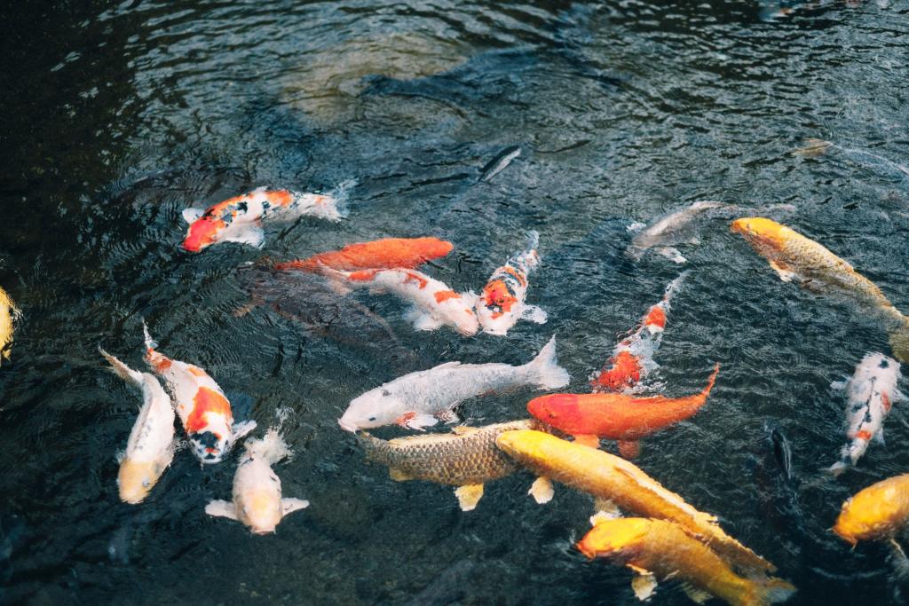水前寺成趣園
