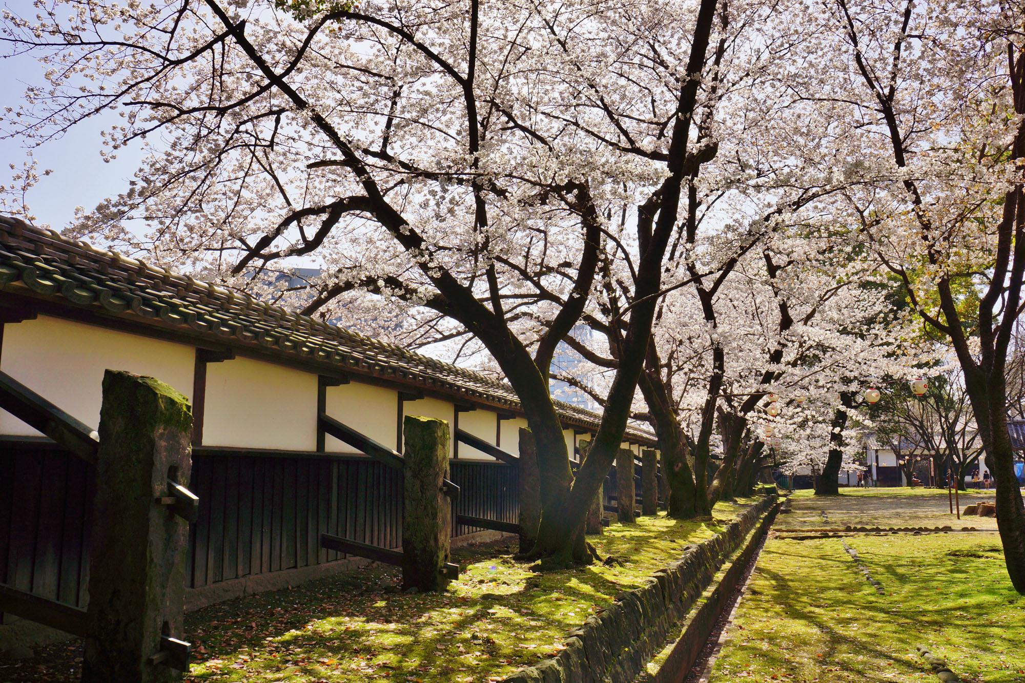 熊本城