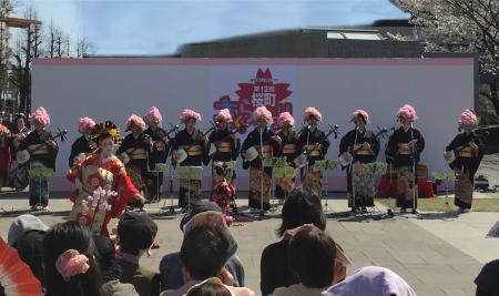 熊本城下「花畑・桜町さくらまつり」