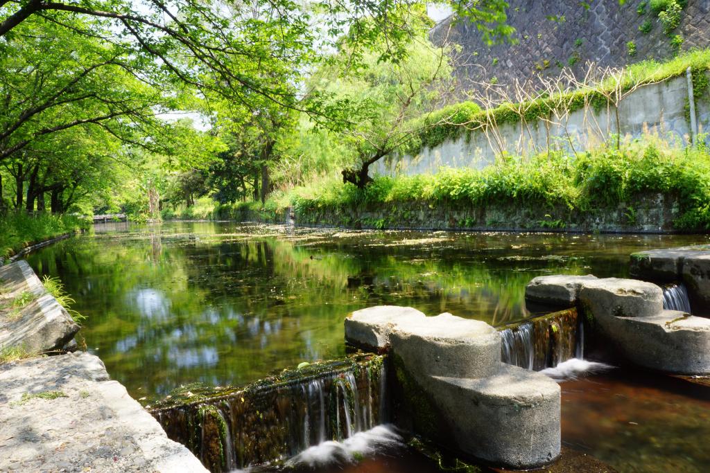 八景水谷公園 [撮影時期：5月12時頃]