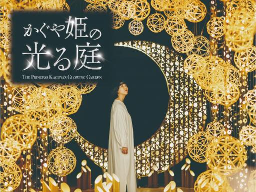 かぐや姫の光る庭～あかりを奏でる月夜～