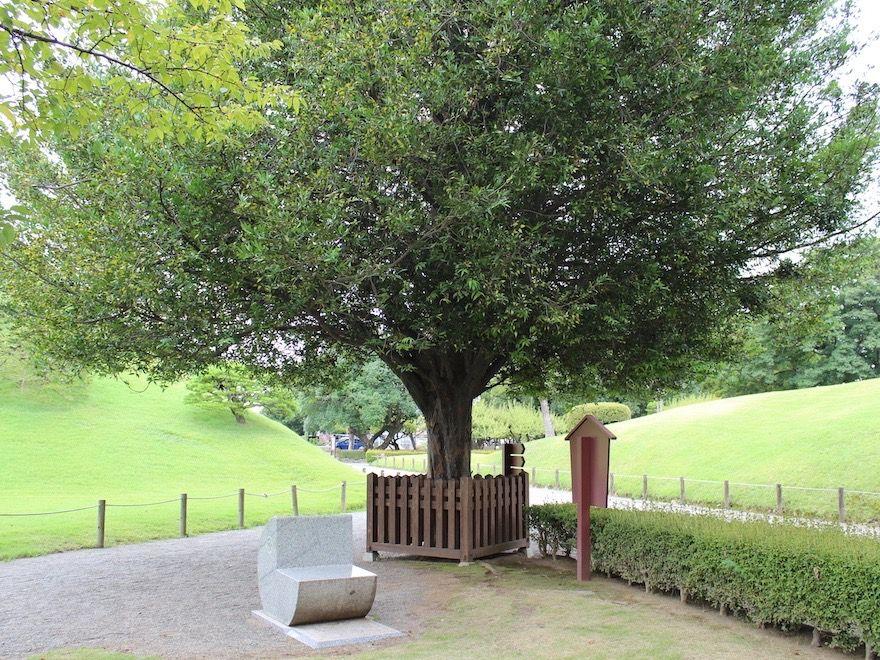 梛の木の下にある石のベンチは熊本地震で倒壊した鳥居を再利用したもの