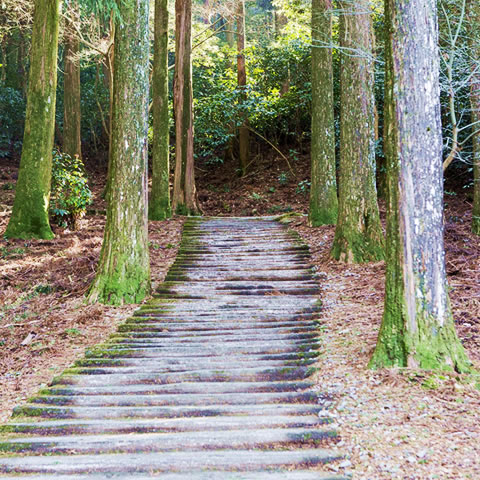 写真：金峰山