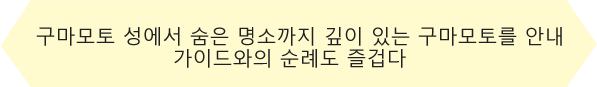 구마모토 성에서 숨은 명소까지 깊이 있는 구마모토를 안내
가이드와의 순례도 즐겁다