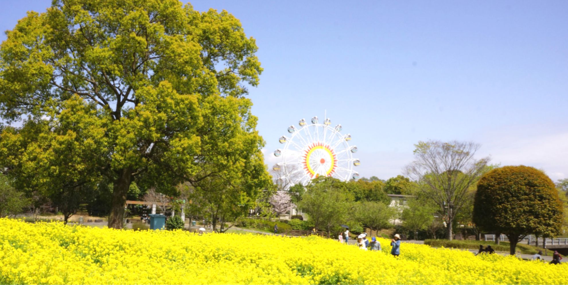 熊本市動植物園の写真