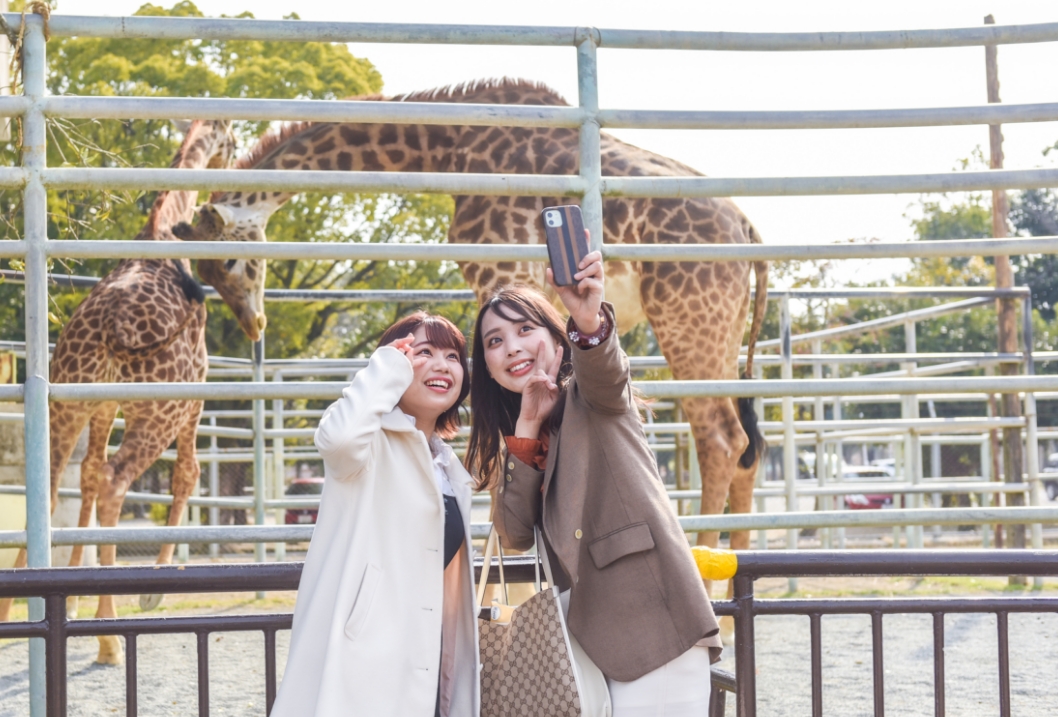 熊本市動植物園のきりんの写真